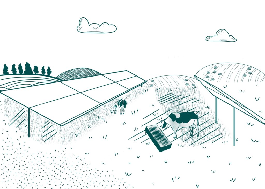 ombrière projet de centrale agrivoltaïque avec exploitation bovine pour projet de Donzy dans la Nièvre