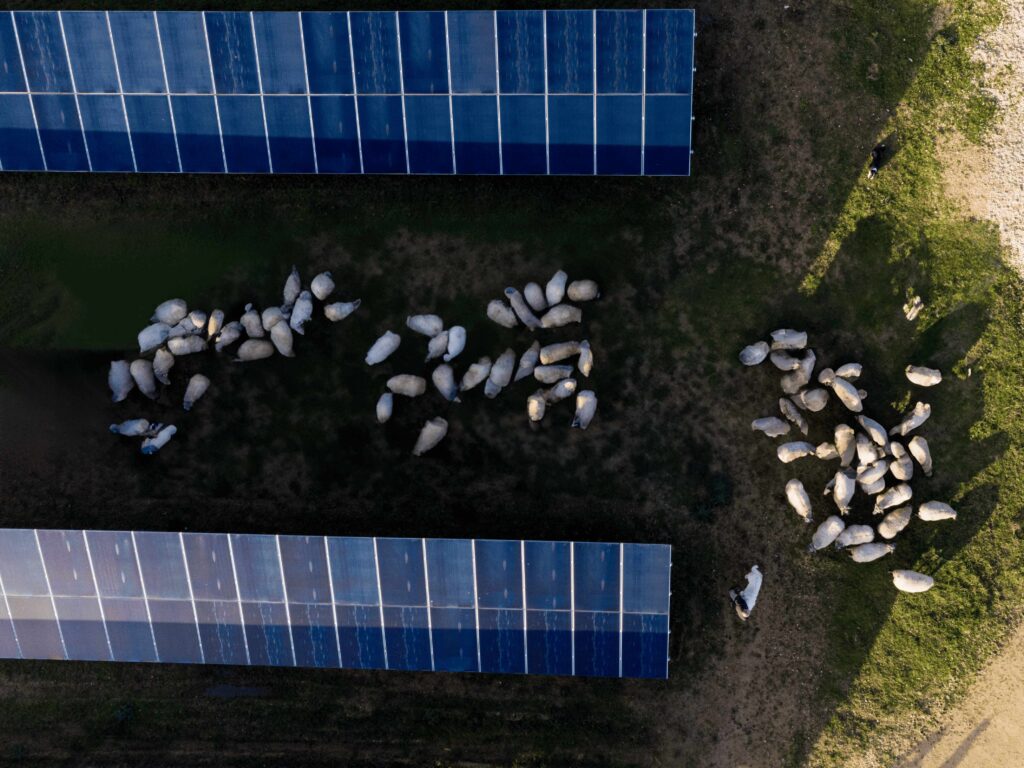 DJI_0012-2-modifiée (1)-compressed