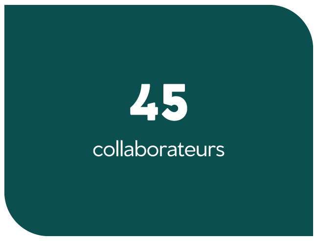 chiffres_collaborateurs