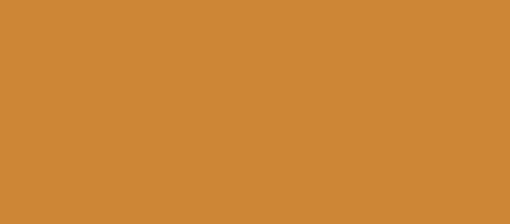 fond-bloc-jaune
